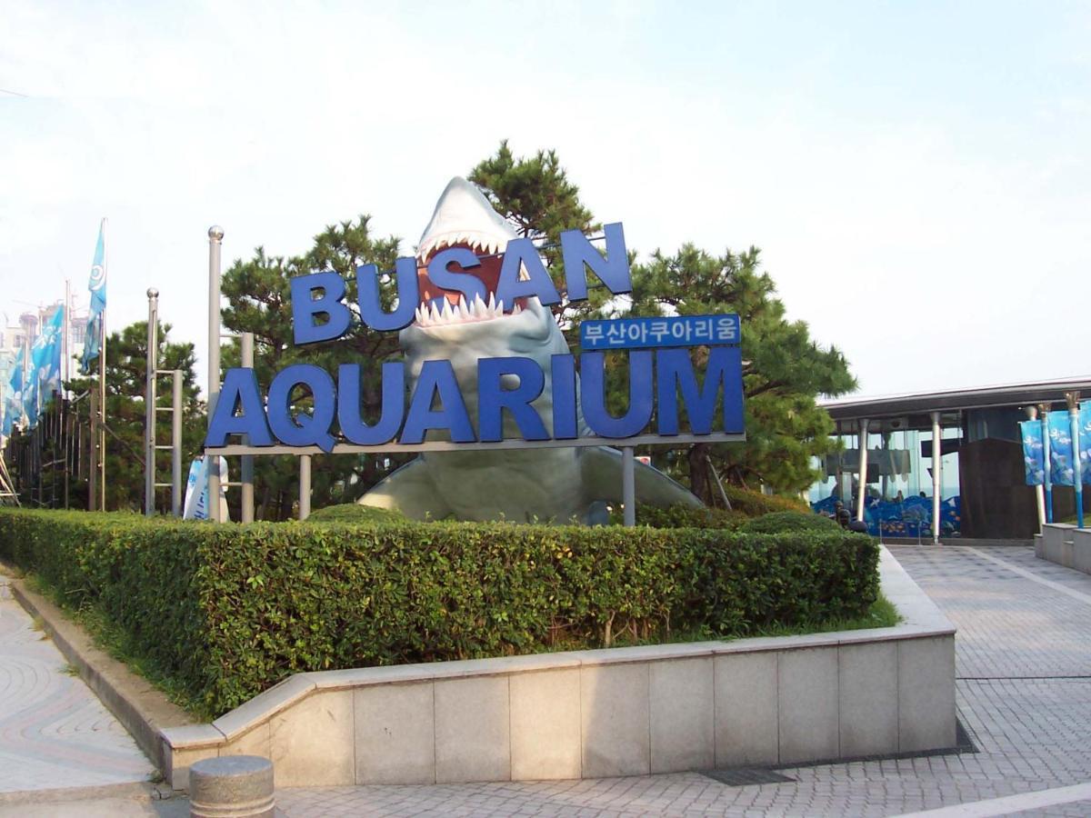 Ferienwohnung Haeundae Luxury House Busan Exterior foto